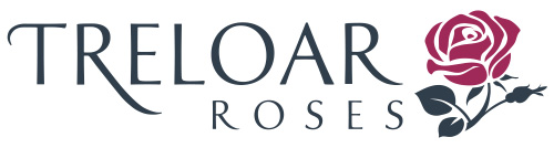 /Treloar Roses